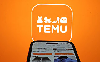 欧盟称Temu须遵守更严格欧盟网络规定