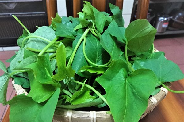 綠葉蔬菜保存 簡單4訣竅延長保鮮期