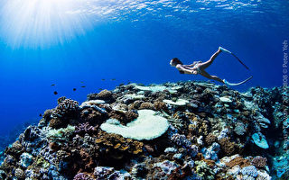 攝影家葉書宏 談蘭嶼潛水拍照