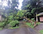 山林森呼吸 漫步林業遺跡桃園東眼山步道