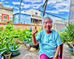 怀念澎湖的豆花西施 — 陈素卿的故事