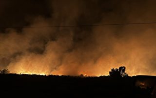 南加州多地爆野火 火勢持續蔓延