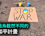 【军事热点】俄乌截然不同的和平计划