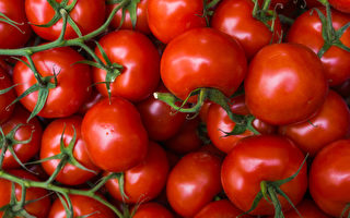 番茄：厨房里的红宝石