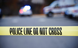 上周纽约市枪击案较去年同期增50% 警局称整体犯罪率持续下降