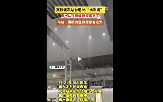 “武汉有高铁候车站漏成水帘洞”上热搜
