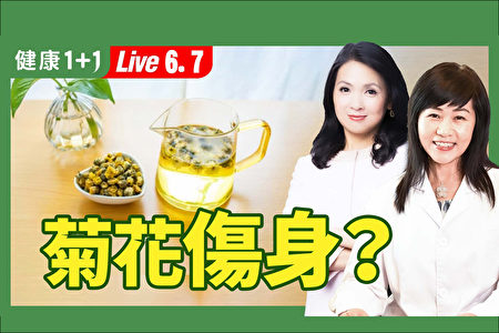 【健康1+1】菊花清肝明目 有6禁忌