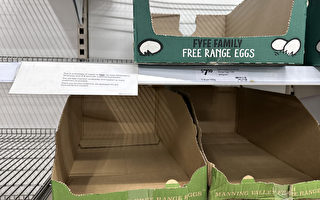 農業部：雞蛋供應無虞 無需恐慌性購買