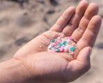 微塑膠入人體 毒性增 致病風險高