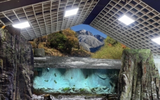 台灣櫻花鉤吻鮭生態中心展示館 重新開放參觀