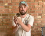 男子救下被弃的13只小猫 获逾百万网友赞扬