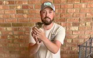 男子救下被弃的13只小猫 获逾百万网友赞扬