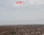 鄱阳湖部分流域成垃圾的海洋 引爆网络
