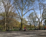 中央公園性侵女性未遂 43歲男嫌遭曼哈頓地檢起訴
