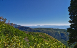 普里姆羅斯的瓦薩奇山景觀俯瞰猶他州廷帕諾戈斯落基山脈的馬泉健行步道。美國。(Shutterstock)
