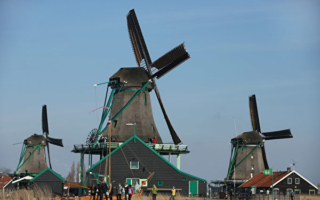 荷蘭新法律法規生效 影響民眾生活
