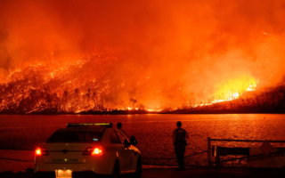 加州今年以來野火數量減少 但面積增大