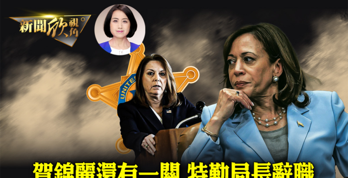 【新闻欣视角】民主党临阵换将 胜算几何？