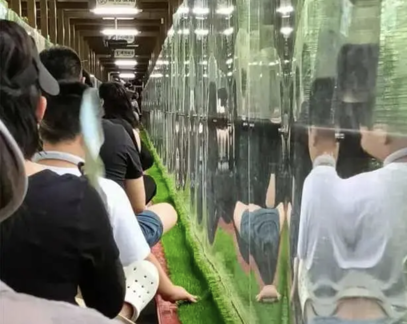 小心被跌 广西景区魔毯断裂致1死60伤游客曝惊险过程| 德天瀑布景区| 故障| 大纪元