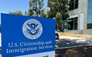 ACA 案件中,哪些人風險最高?哪些人相對安全(制度觀察)