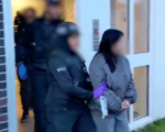英法警方破獲越南人口販運團夥