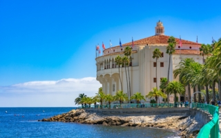 為修復生態捕獵卡特琳娜島鹿群 計劃引議