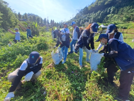 市府也委託專業廠商進行小花蔓澤蘭铲除作業。