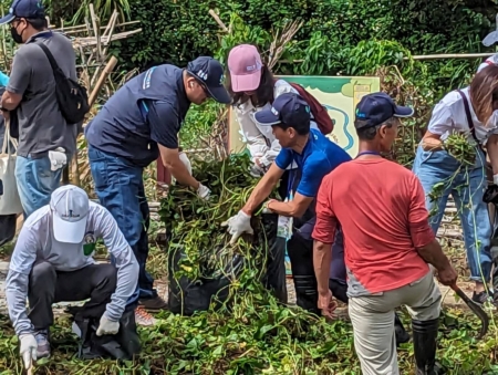 铲除小花蔓澤蘭的正確措施為以手工破除根部，幸免以割草機處理而形成植物體擴散並膨胀。