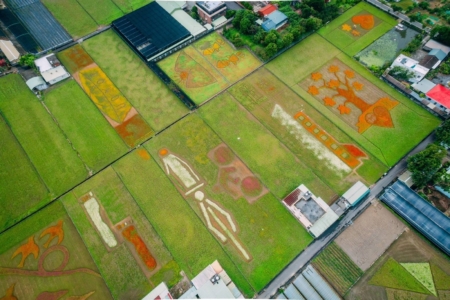 以“花彩盛艳”为主题，荟萃桃园在地农产与花草地景之好意思，打造一场视觉盛宴。