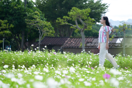 2024大溪水岸花草农游“花彩盛艳”不错好意思拍。