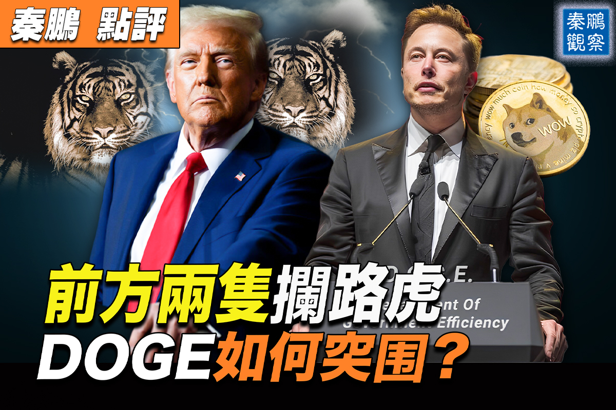 秦鹏观察】马斯克DOGE如何运作？极具挑战| 特斯拉| SpaceX | 川普| 大纪元