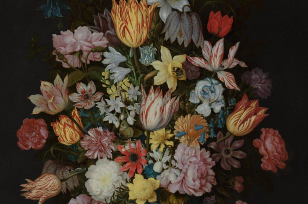 静物画 前十名：静物| ArtMajeur杂志
