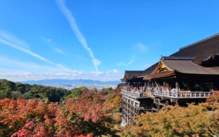 诗歌：游清水寺