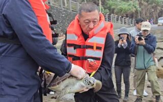 守護海洋生態 基市府攜手多單位野放兩隻海龜