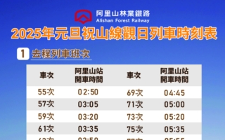 2025元旦跨年  林鐵觀日列車12月10日起預售