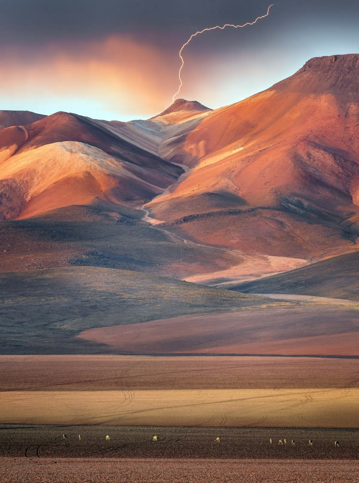帕拉西奧斯的攝影作品《七色山》（7 Colors Mountain）。（The 11th International Landscape Photographer of the Year提供）
