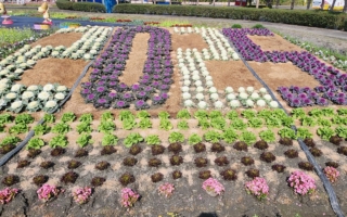 「2025花在彰化－花繪城事」溪州公園將盛大登場