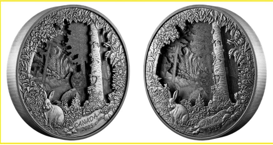 令人惊艳！ 加拿大推出新款3D银币限量750枚| 3D银币，加拿大| 大纪元