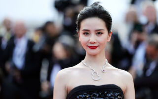 劉詩詩主演《掌心》片酬曝光 折射陸娛圈困境