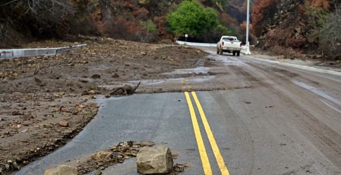 强风暴袭美东部 2000万人受影响 至少1人死
