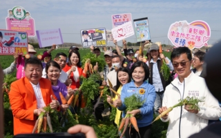 東勢「國際台灣胡蘿蔔日」上萬人體驗拔蘿蔔樂