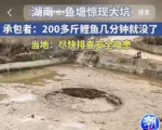 湖南一鱼塘现大坑 200斤鲤鱼几分钟全没了