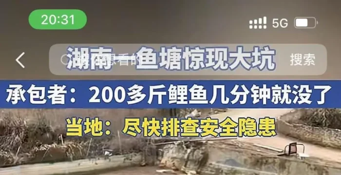 湖南一鱼塘现大坑 200斤鲤鱼几分钟全没了