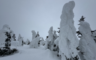 雪白世界的召喚 藏王樹冰的奇幻邂逅