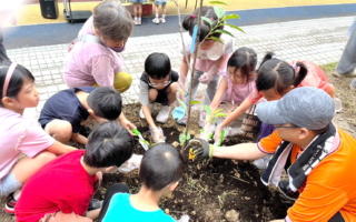“植树节不植树”活动 桃园自强国小诠释不同意义