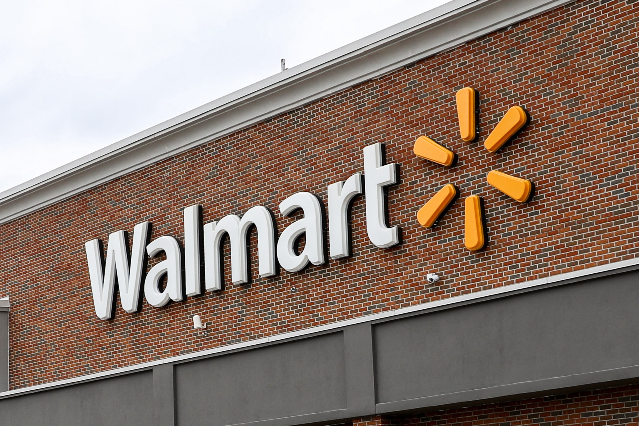 Magma 2024年6月发布| Magma, image size:2059x1373