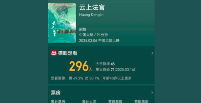 投资1.2亿 《云上法官》上映10天仅1人观看