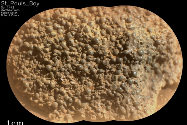 毅力號在火星發現布滿「蜘蛛卵」奇特岩石