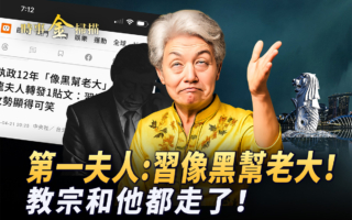 【時事金掃描】李顯龍夫人轉帖：習像黑老大