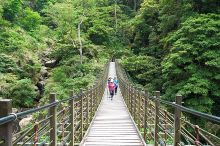 圖為「竹坑溪步道」。